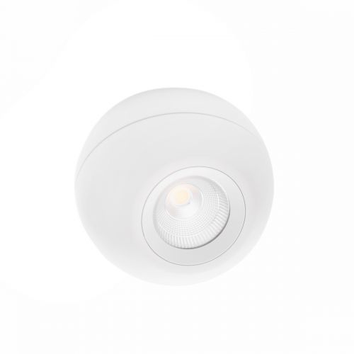 Zarlight 003290